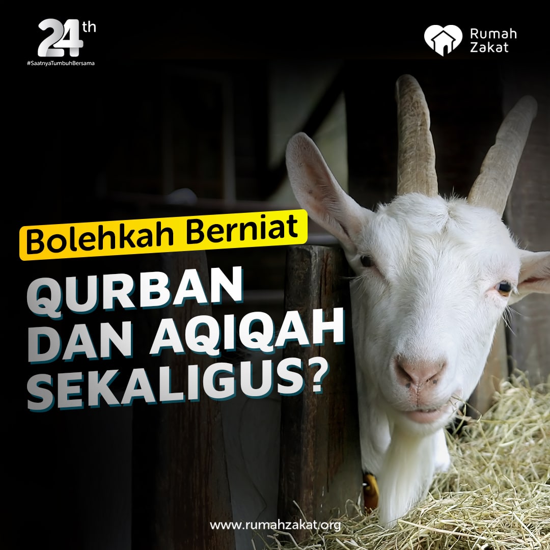 Bolehkah Niat Qurban Dan Aqiqah Sekaligus Rumah Zakat